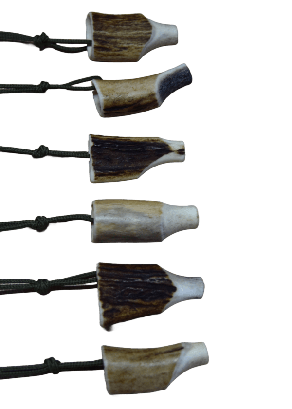 Hasenklage - Sonderangebot – Bild 2